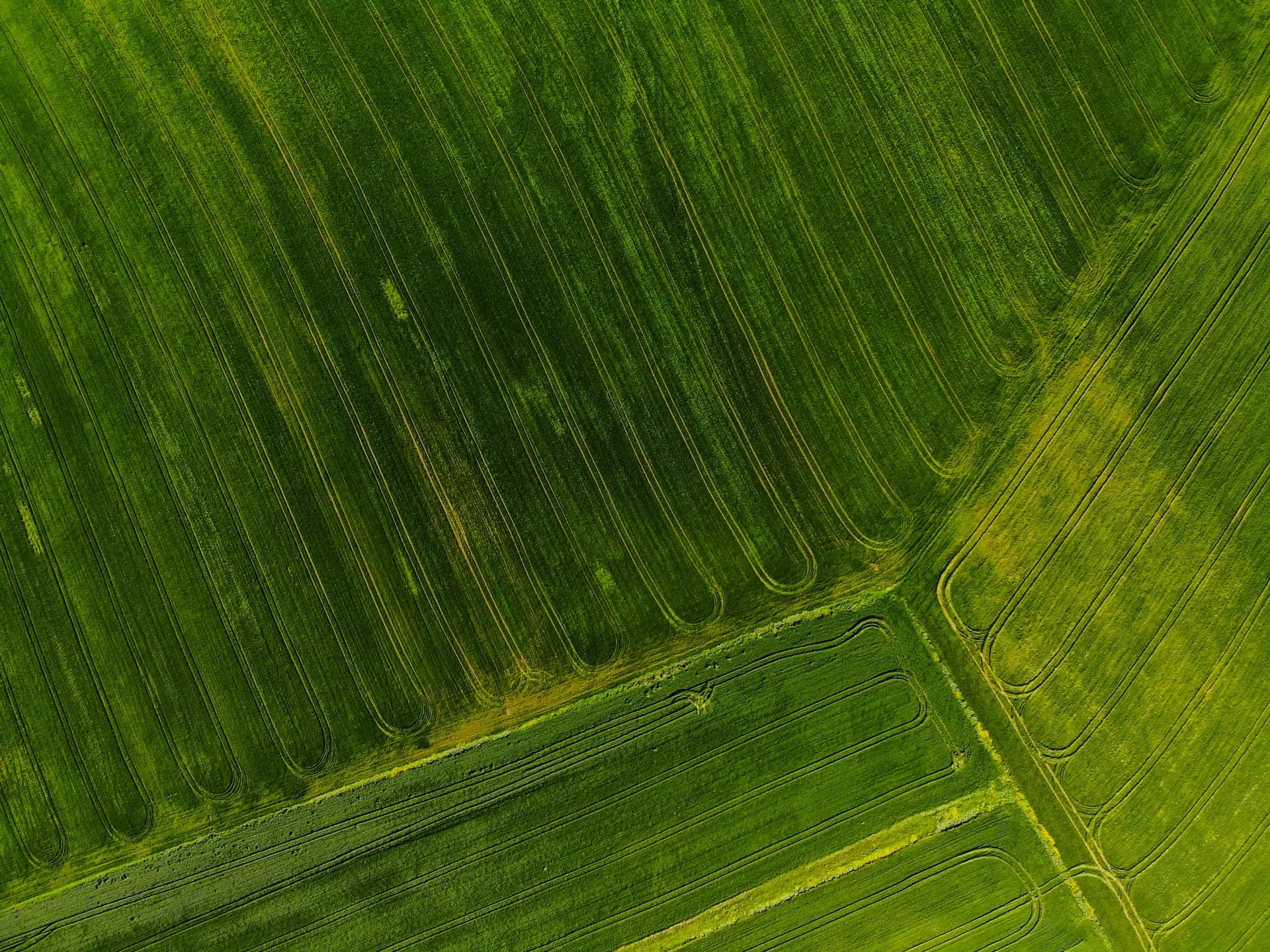 Aerial view of green field tracks used as an Elaniti careers values visual