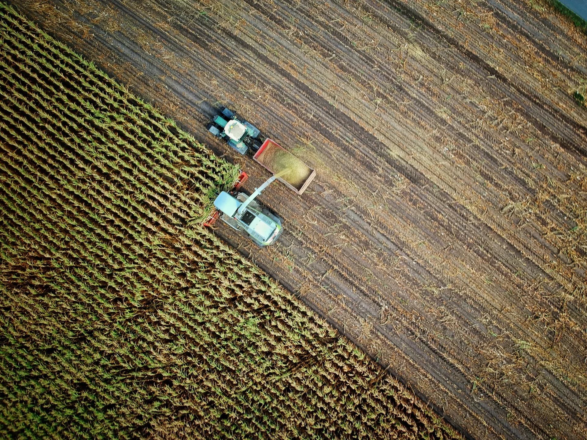 Aerial view of crop harvesting machinery crossing a field