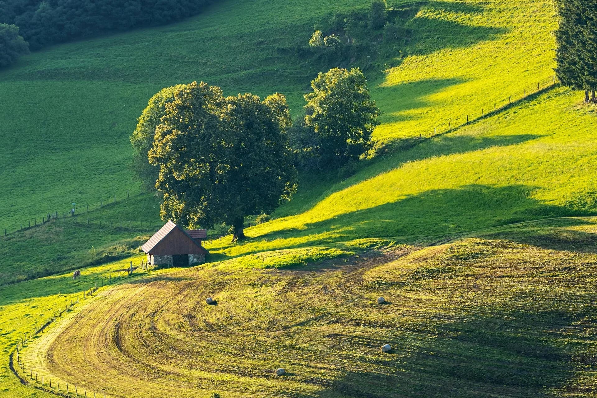 Sunlit rolling farmland with trees and a small barn